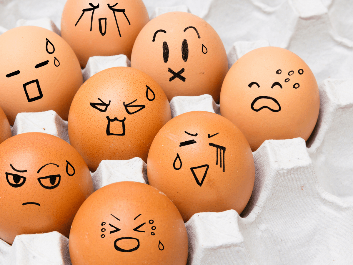 Emotional Regulation for Kids: Why Parents Must Lead by&nbsp;Example